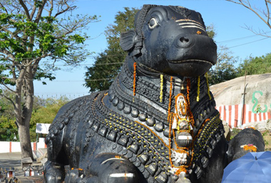 Places to Visit in Mysore