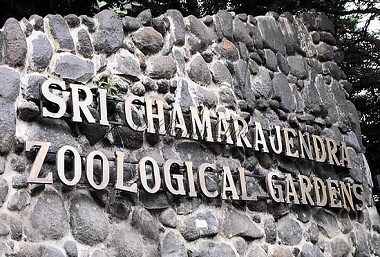 Places to Visit in Mysore 